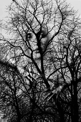 Die Welt der Träume Die Welt der Träume